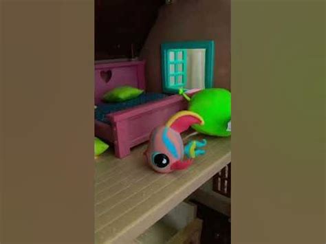 Exploring LPs: The Role